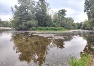 cours d'eau la Vendage à Brioude