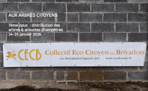 Distribution des arbres janvier 2026